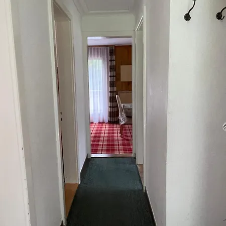 Le Petit Gentinetta * ロイカーバード